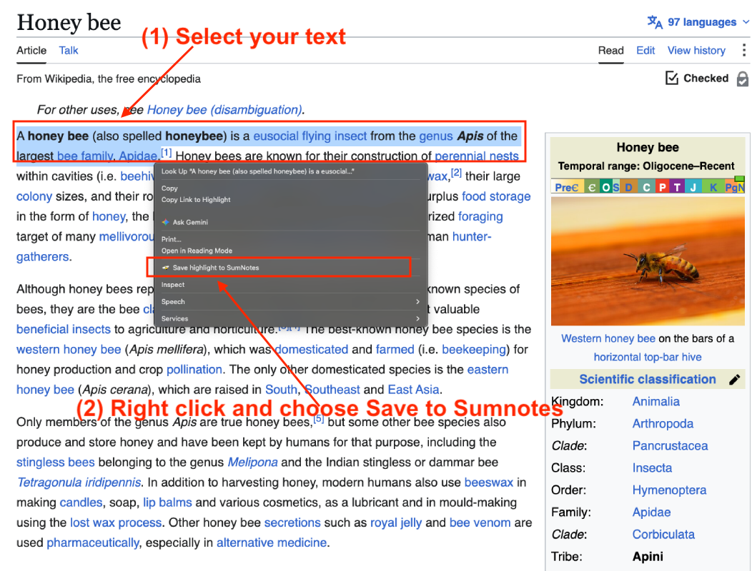 Save a highlight to Sumnotes with HoneyBee